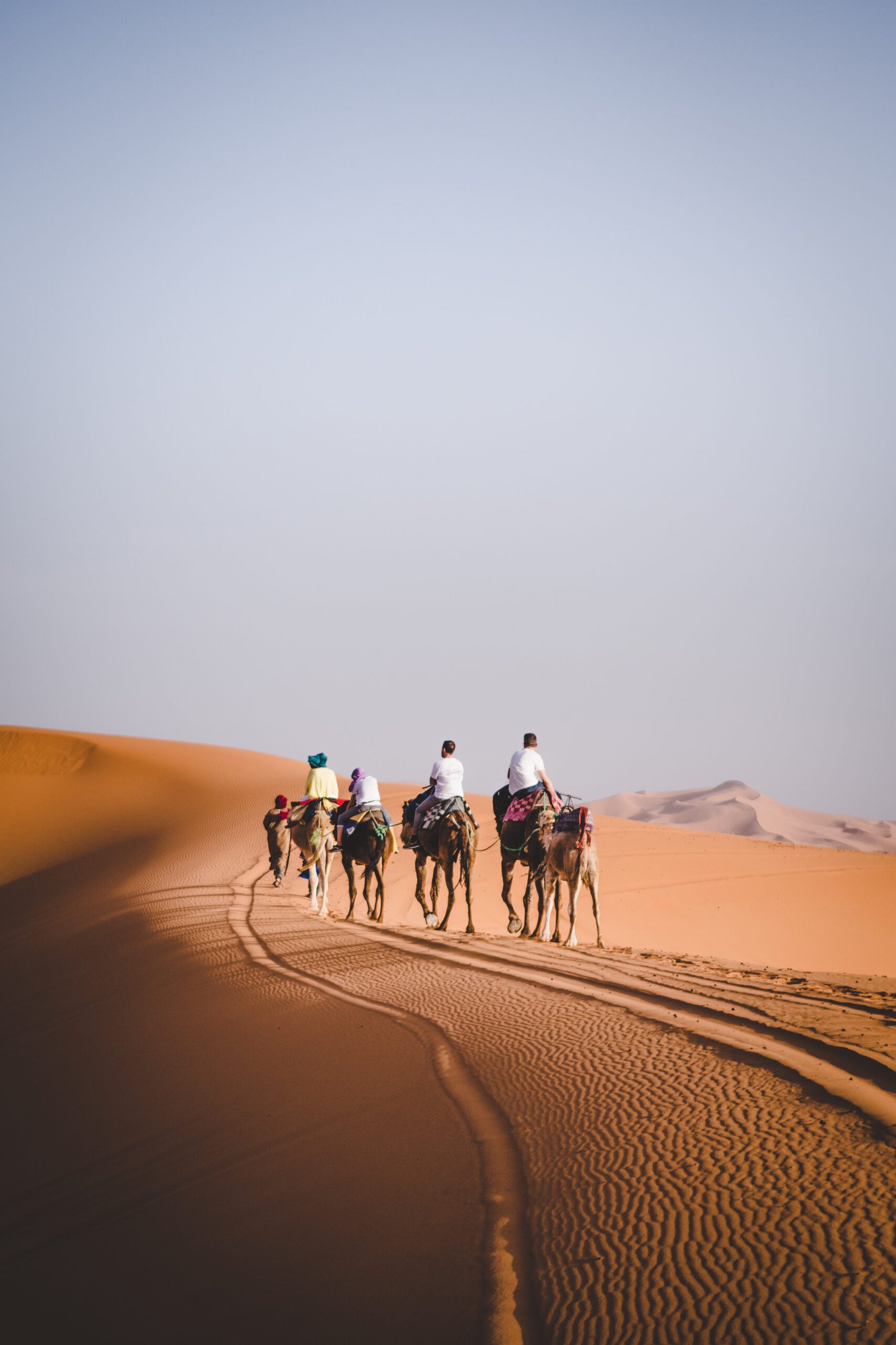 Dubai Desert Safari with TravelBeyondLK